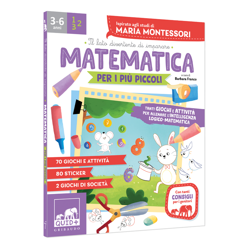 matematica activity book